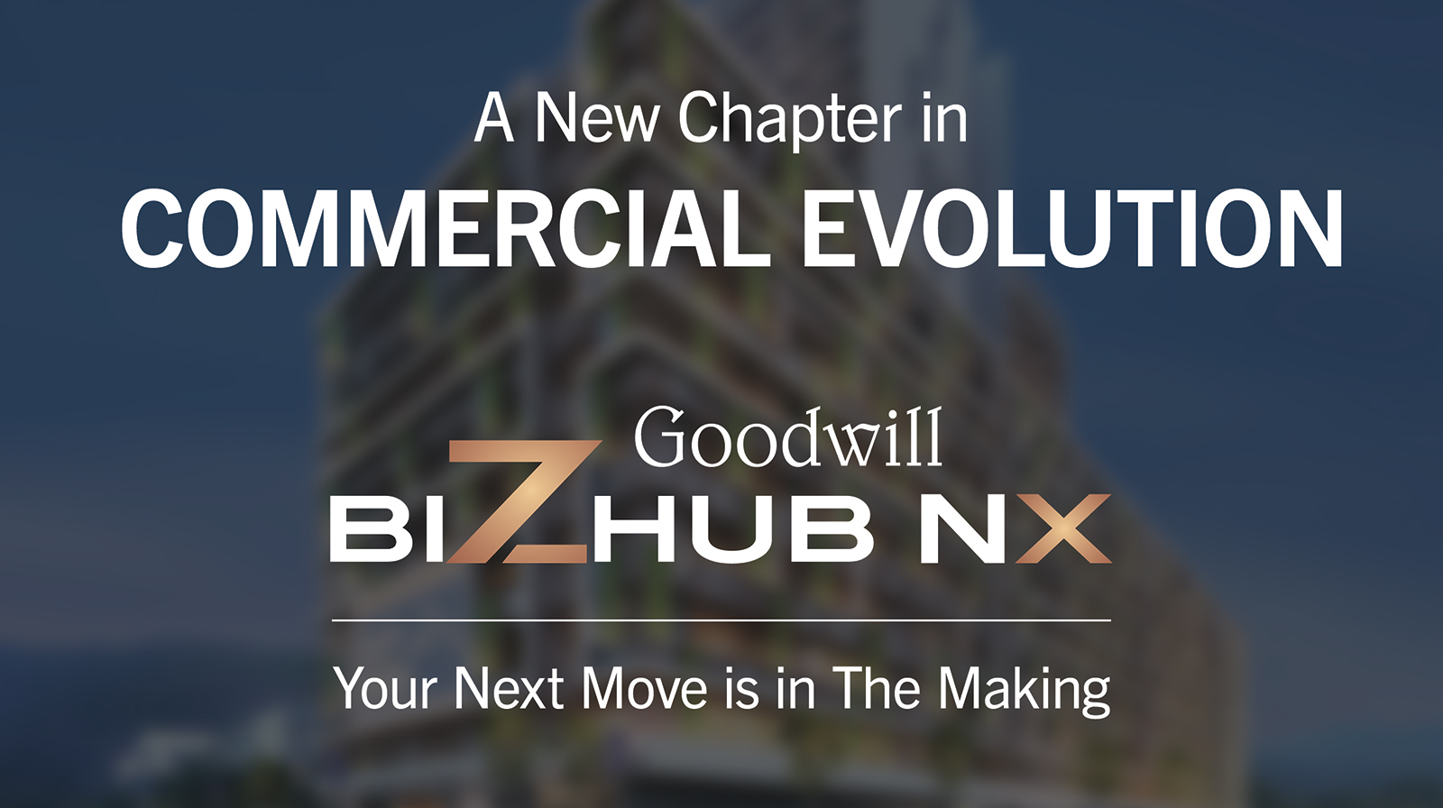 Business growth projection at Goodwill Bizhub